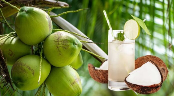 Is Drinking Coconut Water Daily Good for You? Uncover 9 Health Benefits.