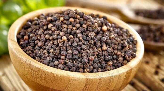 The Billion-Dollar Export: Reviving Vietnam’s Forgotten Herbal Legacy