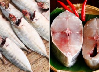 Who Should Avoid Eating Fish? Even With Its Nutritional Benefits, Some Shouldn’t Take a Bite.