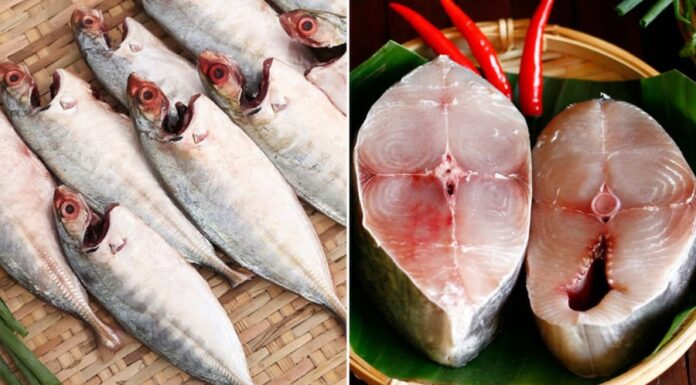 Who Should Avoid Eating Fish? Even With Its Nutritional Benefits, Some Shouldn’t Take a Bite.