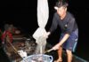 The Secret to Fresh Fish: Unveiling Dong Nai’s Ever-Moving Fish Market