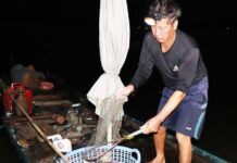 The Secret to Fresh Fish: Unveiling Dong Nai’s Ever-Moving Fish Market