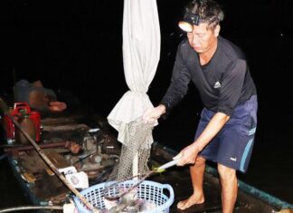 The Secret to Fresh Fish: Unveiling Dong Nai’s Ever-Moving Fish Market