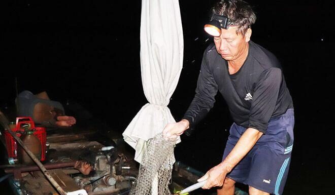 The Secret to Fresh Fish: Unveiling Dong Nai’s Ever-Moving Fish Market