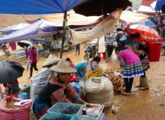 The Mystical Market: A Unique Attraction in Lao Cai, Captivating Visitors with Its Intriguing Offerings