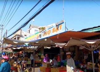 The Ultimate Guide to Dong Nai’s Bustling Marketplace: A Shopper’s Paradise with Unbeatable Deals