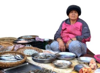 A Little Market with a Big Story: The Three-Decade-Old Pleiku Secret