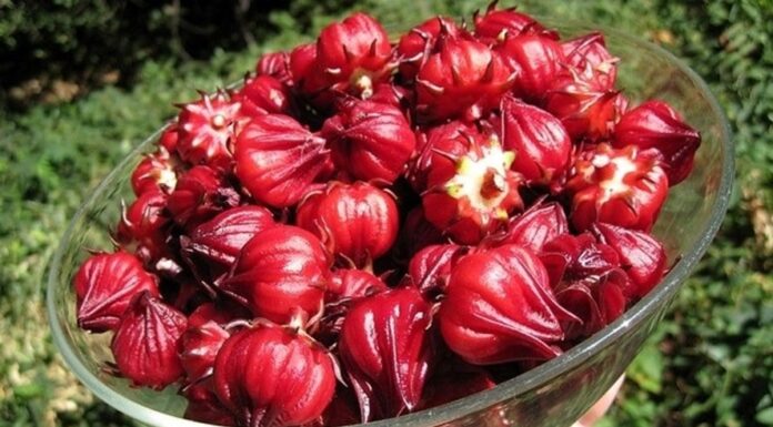 5 Bedtime Snacks to Detox and Nourish Your Liver