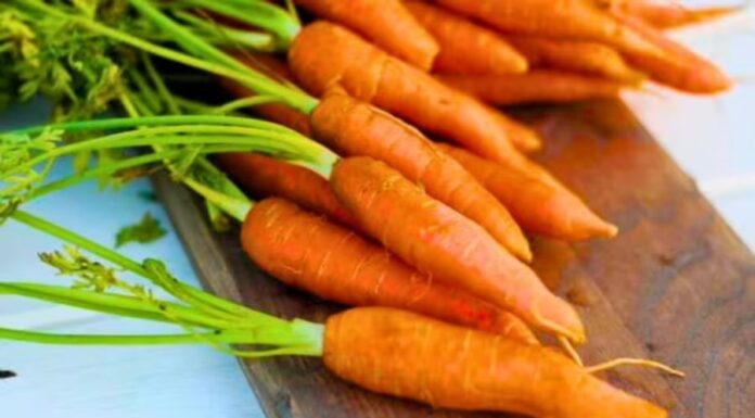 The Ultimate Guide to Keeping Carrots Crisp and Fresh for Up to 3 Weeks: No More Soggy or Moldy Carrots!
