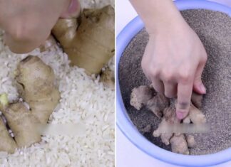 The Ultimate Guide to Ginger: Discover the Secret to Year-Long Freshness Without a Fridge