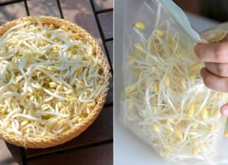 “Keep Your Bean Sprouts Fresh All Week Long: The Ultimate Guide”