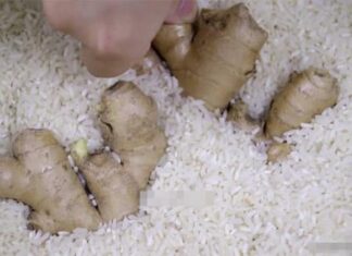 The Secret to Long-Lasting Ginger: How to Keep Your Ginger Fresh for Up to Six Months