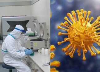 “The Dangers of the New Covid-19 Variant NB.1.8.1 Spreading in Ho Chi Minh City: A Doctor’s Insight”