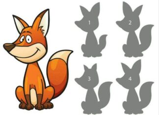 The Ultimate Brain Teaser for Kids: 18 Picture Puzzles to Spot the Animals