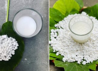 Who Should Avoid Drinking Tapioca Starch Powder?