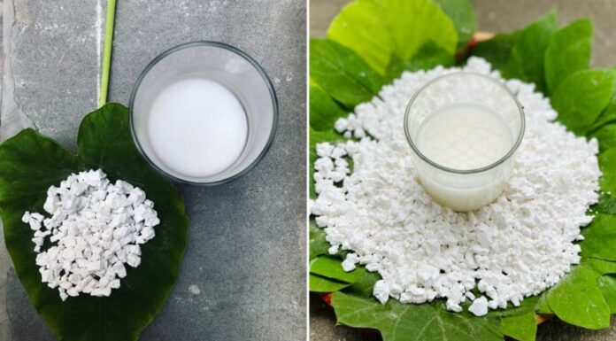 Who Should Avoid Drinking Tapioca Starch Powder?