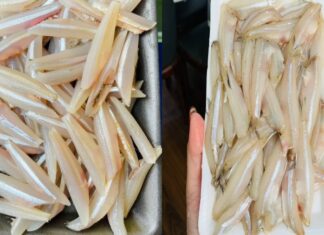 The Ultimate Catch: Indulge in Tender, Sweet Fish with a Whopping 25 Times More Calcium than Salmon, All at an Unbeatable Price.