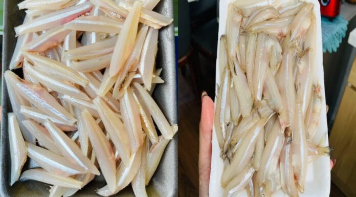 The Ultimate Catch: Indulge in Tender, Sweet Fish with a Whopping 25 Times More Calcium than Salmon, All at an Unbeatable Price.