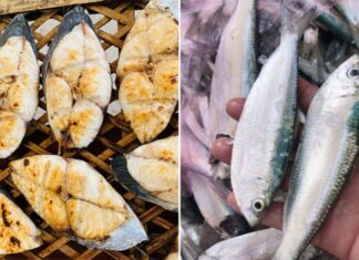 6 Types of Omega-3 Rich Fish That Are Affordable, Delicious, and Less Boney Than Salmon