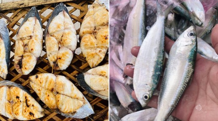 6 Types of Omega-3 Rich Fish That Are Affordable, Delicious, and Less Boney Than Salmon