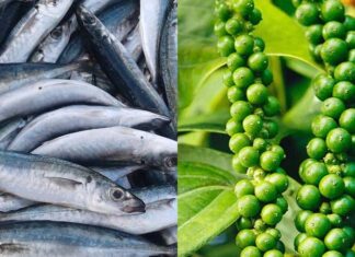 “A Delicious and Tangy Take on Braised Mackerel with Pepper”