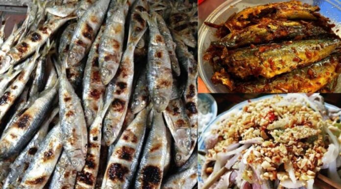 This Season’s Catch: Indulge in This Affordable, Nutritious Fish with Omega-3s and None of the Mercury Worries.