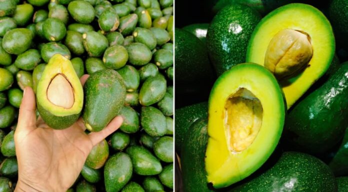 How to Pick a Perfect Avocado: A Guide to Choosing the Best Fruit