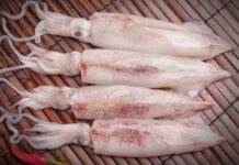 “The Ultimate Guide to Crispy, Tangy Fried Squid: A Mouthwatering Delight”