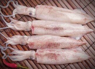 “The Ultimate Guide to Crispy, Tangy Fried Squid: A Mouthwatering Delight”