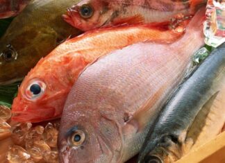 How to Spot Urea-Injected Fish: Don’t Get Hooked by This Shady Practice