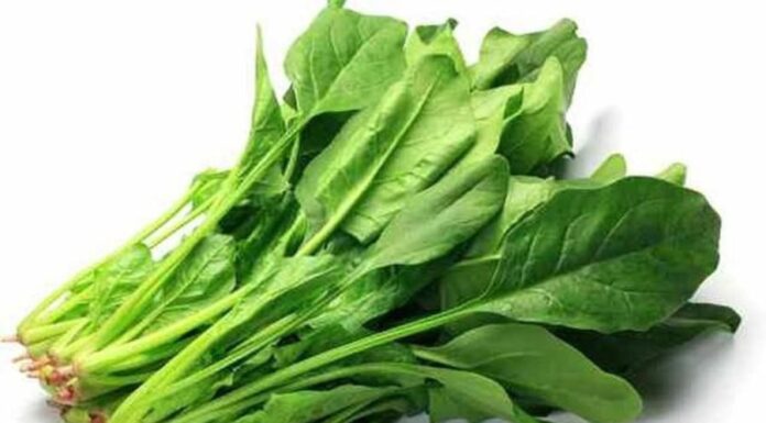 “These Vegetables Help Lower Blood Pressure, Says Doctor”