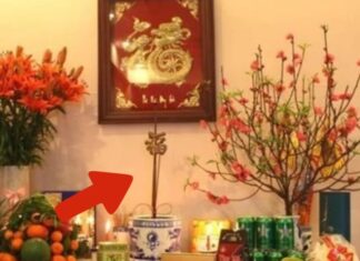 Why You Shouldn’t Use Circular Incense Burners for Ancestral Altars: Debunking a Common Misconception That Could Be Costing You Fortune.