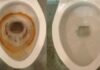 The Toilet Bowl Stained With Yellow: A Quick Fix for a Sparkling Clean