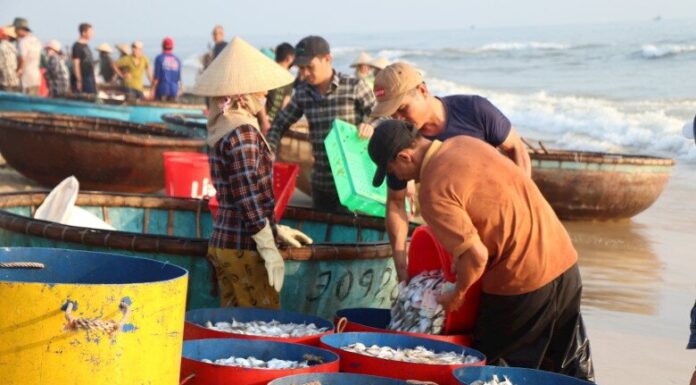 The Ultimate Seafood Experience: Beachgoers Indulge in Freshly Caught Delicacies at This Unique Market in Thanh Hoa