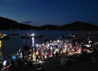 The Oldest Fish Market in Ha Tinh: A Century-Old Tradition of Selling Fresh Seafood at Unbeatable Prices