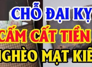 The Fortune Formula: Unlocking Wealth, Not Misfortune