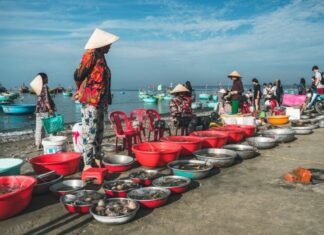 The Renowned Seafood Market of Phan Thiet: Shop with Buckets, Not Scales, a Haven for Both Foreign and Local Shoppers.
