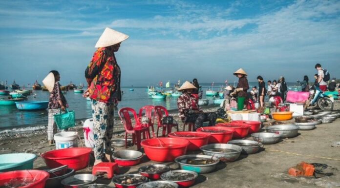 The Renowned Seafood Market of Phan Thiet: Shop with Buckets, Not Scales, a Haven for Both Foreign and Local Shoppers.