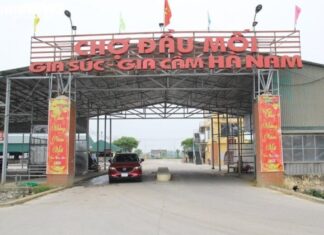 The Biggest “Pig Market” in Northern Vietnam: A Year-Round Affair in Ha Nam Province, Taking a Break Just for a Day