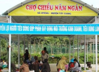 The Ultimate Guide to Quảng Nam’s “Chợ Năm Ngàn”: A Treasure Trove of Forest Delicacies at Unbelievable Prices