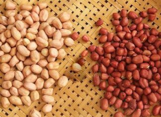 The Ultimate Crispy Salted Peanuts: A Week-Long Snack Sensation – Chef’s Special Tip