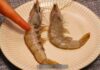 Choosing Shrimp: Curved or Straight? A Guide to Making the Right Selection.