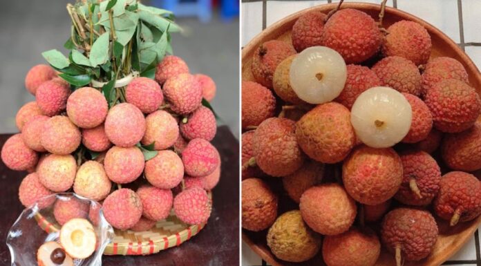 The Perfect Summer Treat: Discover 4 Tips for Choosing the Sweetest and Juiciest Lychees, Free from Worm Infestation