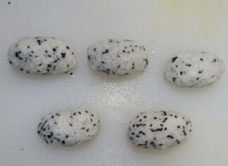 “A Tasty Treat: Bacon-Wrapped Rice Rolls for a Scrumptious Start to Your Day”