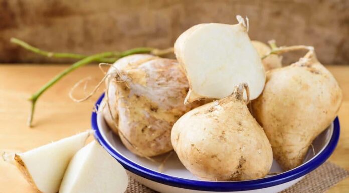 The Humble Root Vegetable: A Nutritional Powerhouse Hiding in Plain Sight