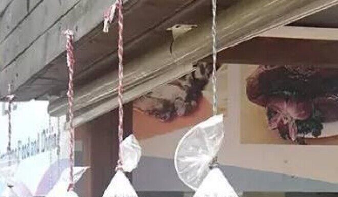 The Summer Heat: A Simple Hack to Keep Your Home Cool