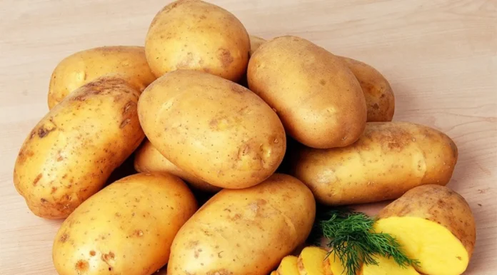 The Ultimate Superfood: This Root Veggie is Cheaper than Potatoes, Healthier than Sweet Potatoes, and Delicious Any Way You Cook It!