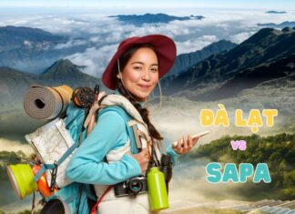 “The Great Outdoor Adventure: Dalat or Sapa – Which is the Ultimate Destination for Mountain Enthusiasts Seeking a Refreshing Escape?”