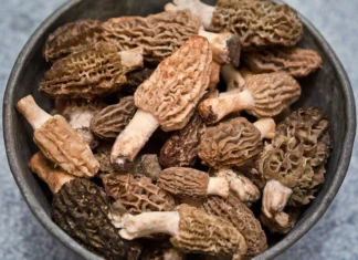 The Ugly Duckling of Delicacies: A Royal Treat Fit for Kings and the Richest of Foodies.