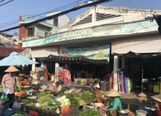 The Ultimate Guide to Phu Quoc’s Best-Kept Secret: A Local’s Guide to the Island’s Cheapest Seafood Market